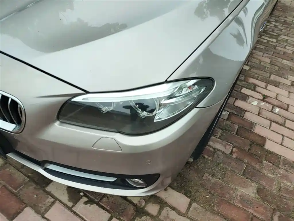 BMW 5 Series 2014 525Li Leading фото 24
