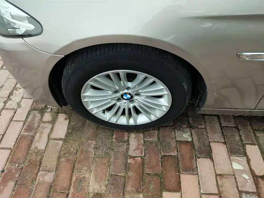 BMW 5 Series 2014 525Li Leading фото 23