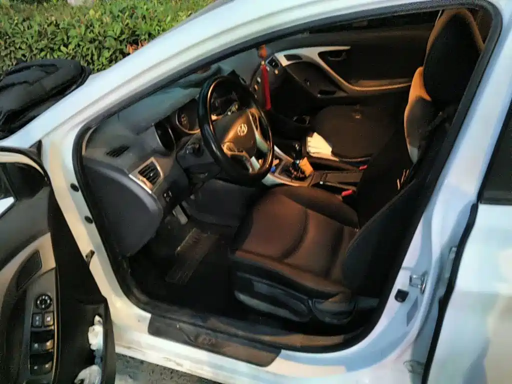 Photo 8 - Hyundai Langdong