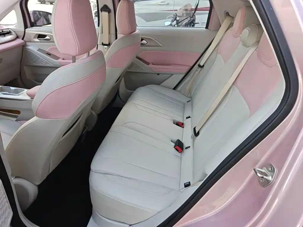 Geely Geometry E Firefly 2024 2024 Model 301km Starlight