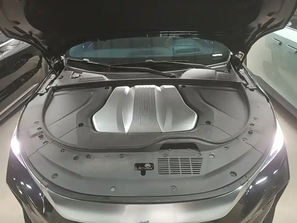 BYD Tang New Energy 2024 EV Glory Edition 730KM Premium фото 20