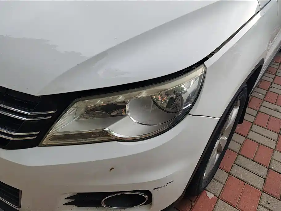 Volkswagen Tiguan 2010 1.8TSI Automatic 4WD Elite фото 5