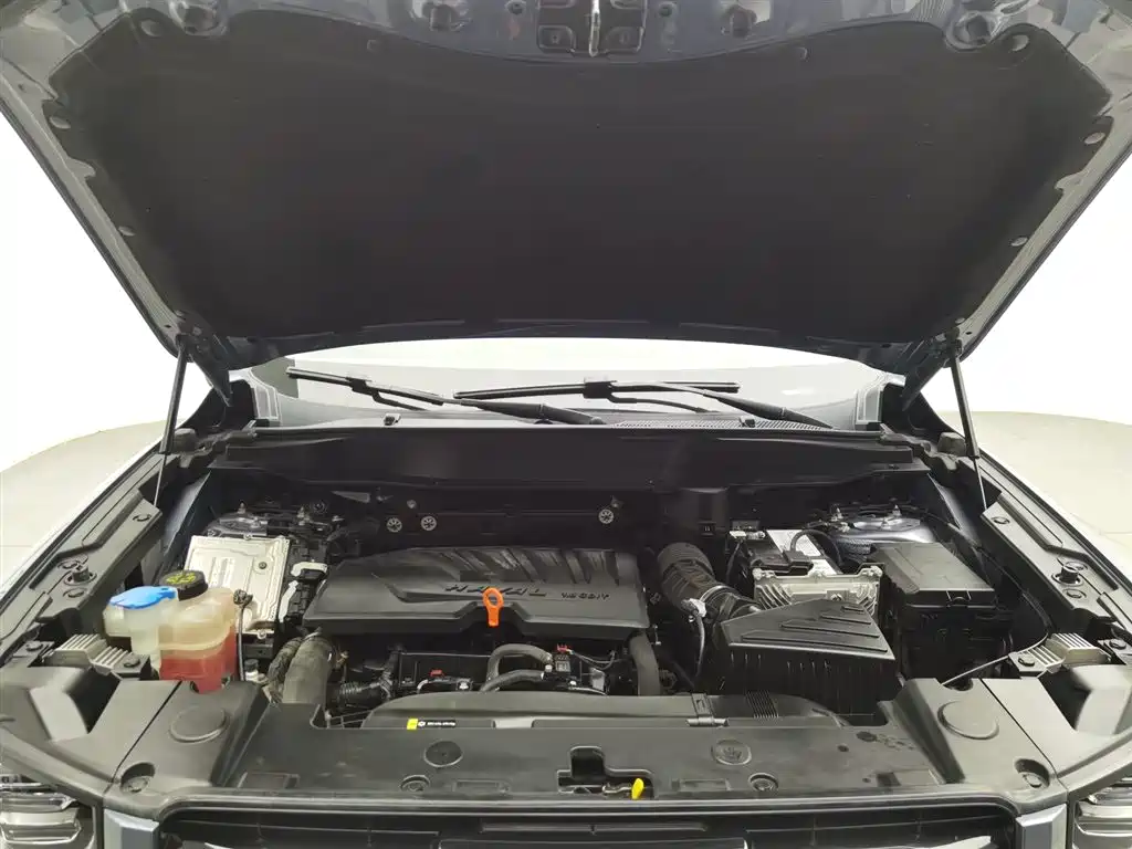 Haval Big Dog 2021 1.5T DCT 2WD Labrador Edition фото 6