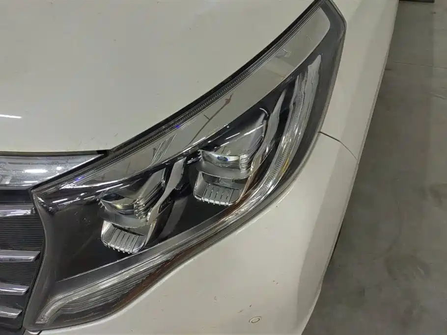GAC Trumpchi Trumpchi M8 2018 320T Exclusive Edition фото 5