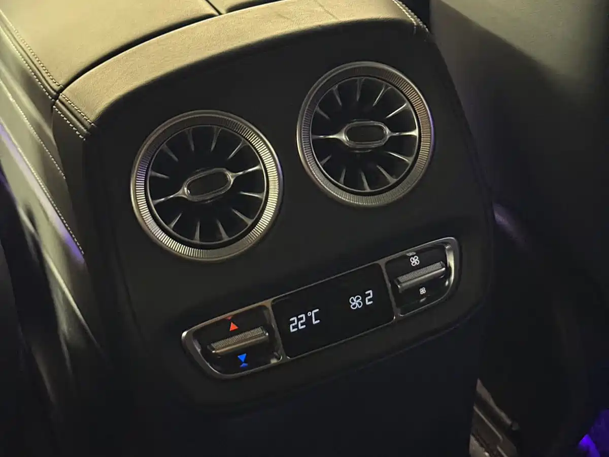 Mercedes-Benz G-Class 2024 G 500 Collector's Edition фото 12