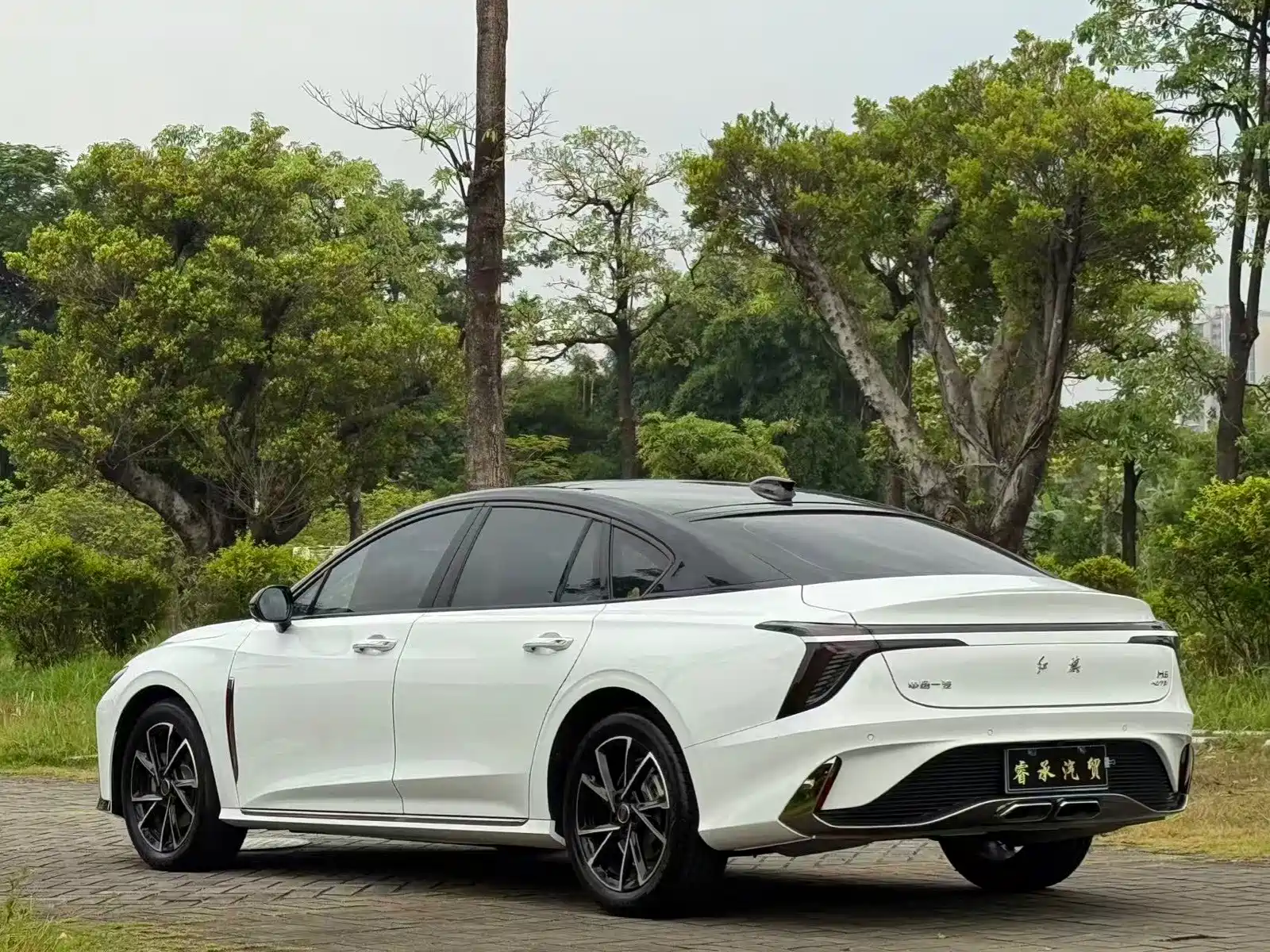 Фото 4 - Hongqi H6