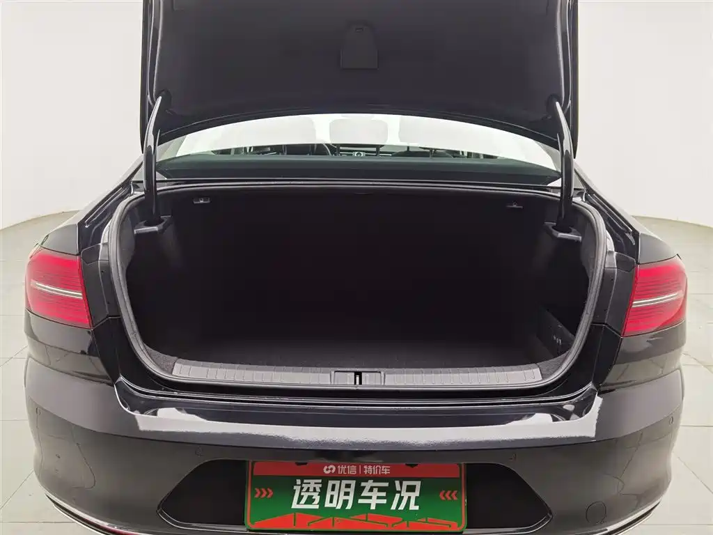 Volkswagen Magotan 2019 330TSI DSG Luxury China V фото 16