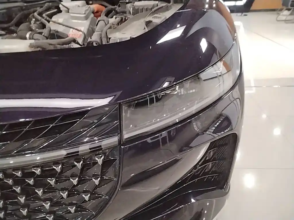 Voyah Passion 2024 2024 PHEV AWD Ultra Long Range Flagship