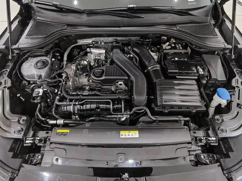 Volkswagen Magotan 2024 300TSI DSG Premium Edition фото 6