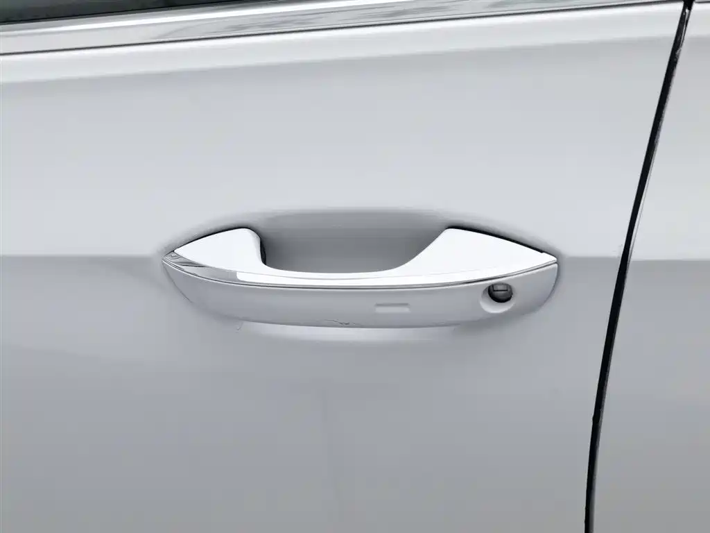 Volkswagen Golf 2021 280TSI DSG 30th Anniversary Edition фото 18