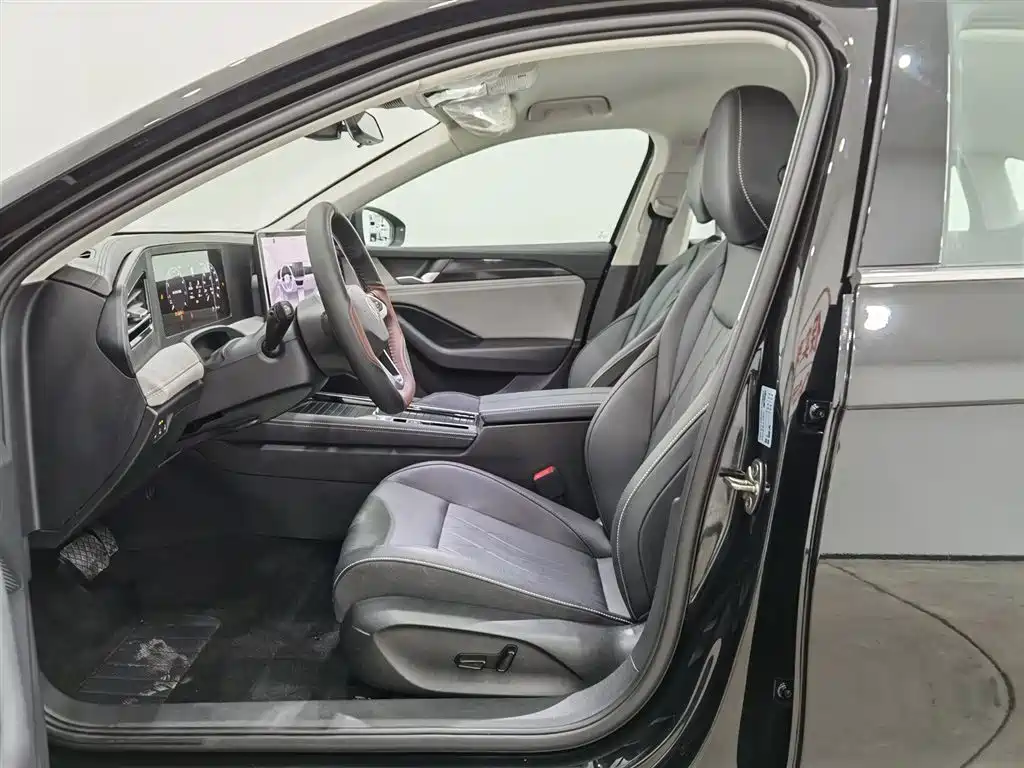 Volkswagen Magotan 2024 300TSI DSG Premium Edition фото 10