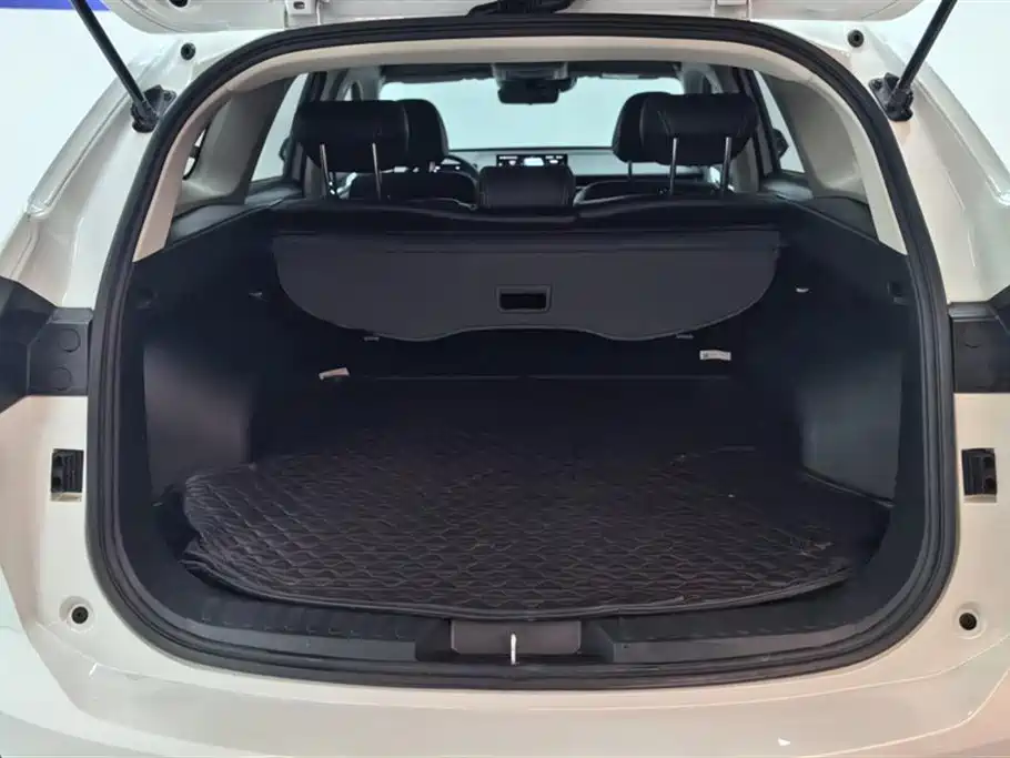 Haval H6 2024 Model 1.5T 2WD Classic Edition фото 4