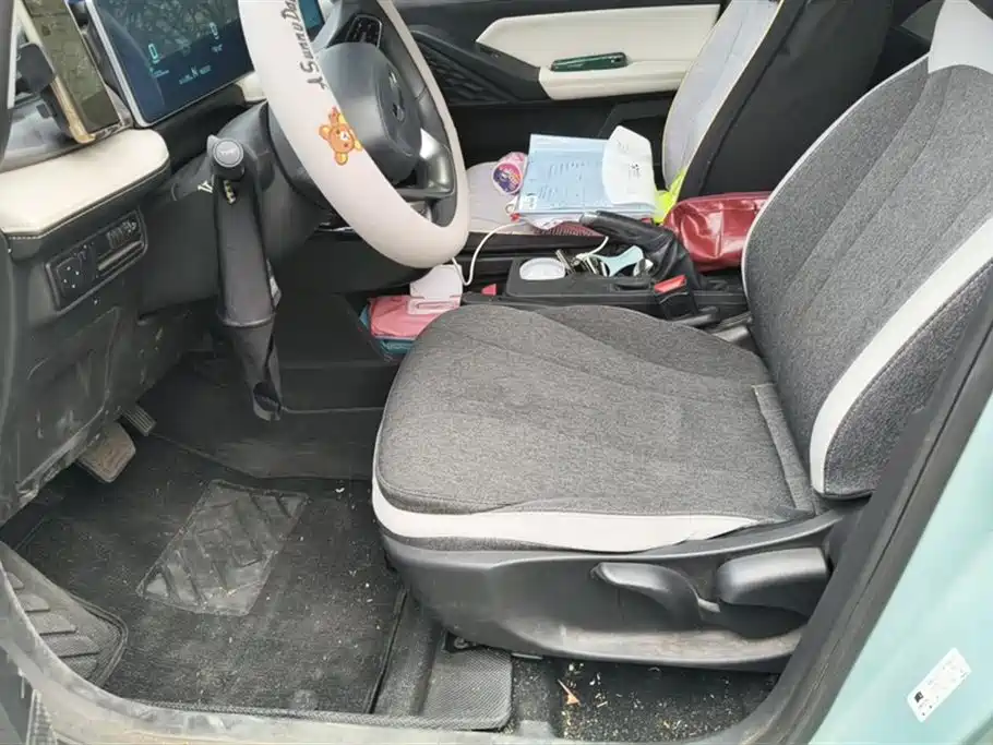 GEELY GEOMETRY E FIREFLY