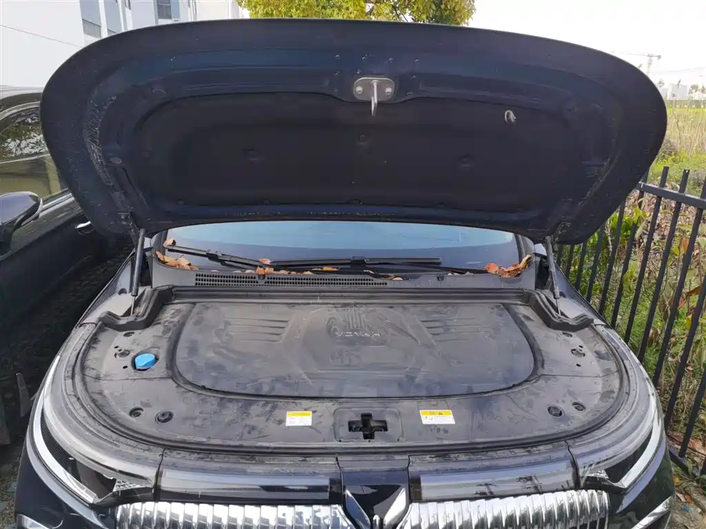 Voyah Auto Voyah Dreamer 2025 PHEV AWD Flagship Kunpeng Edition фото 20