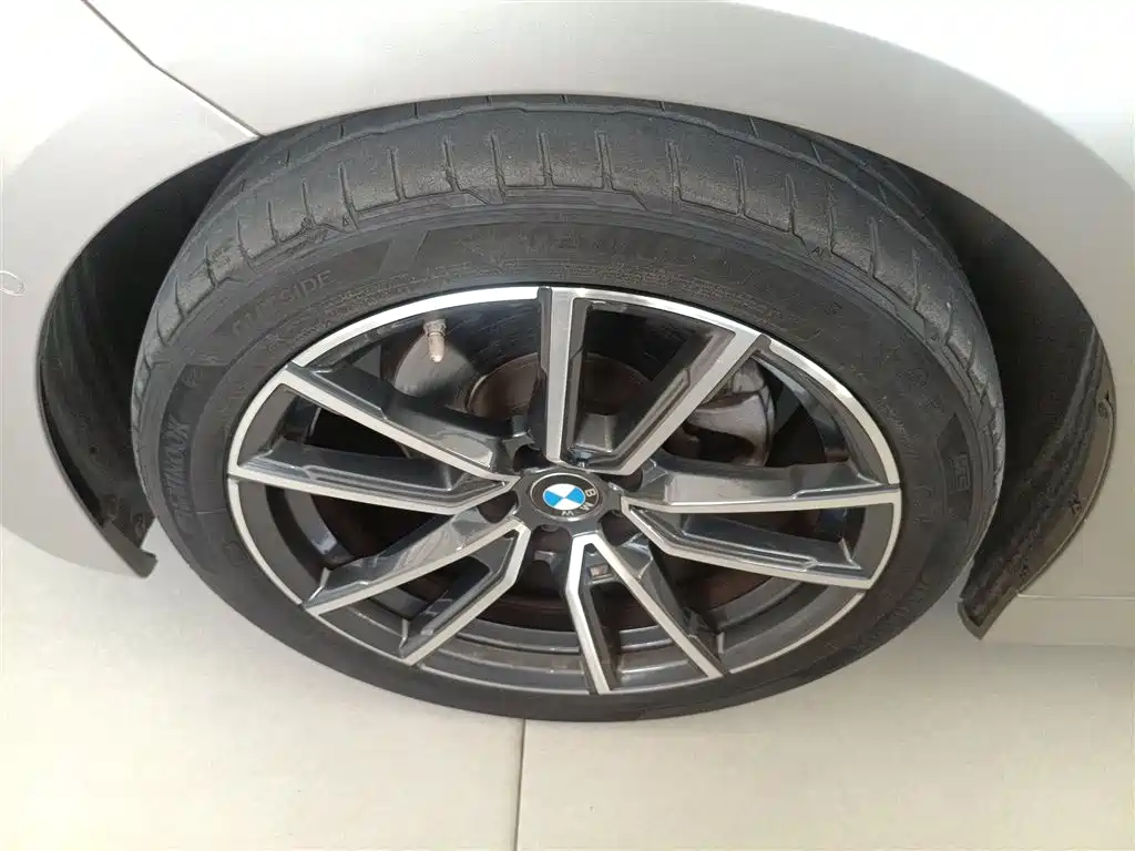 BMW 3 Series 2020 320Li M Sport Package фото 23
