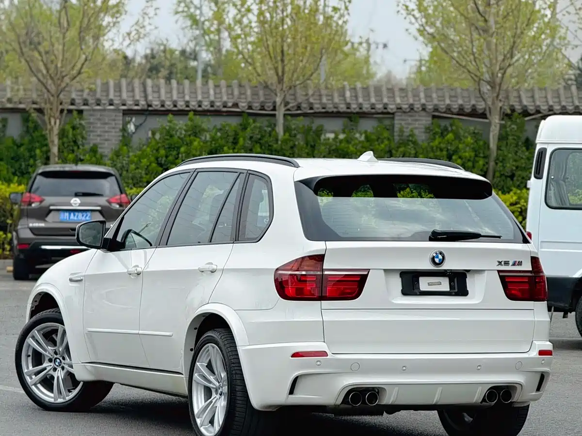 BMW X5 M 2010 X5 M фото 2