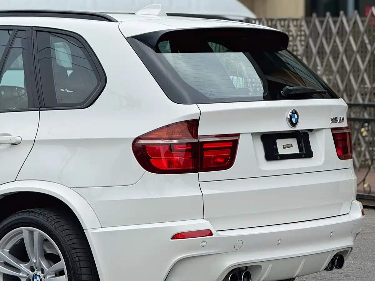 BMW X5 M 2010 X5 M фото 3