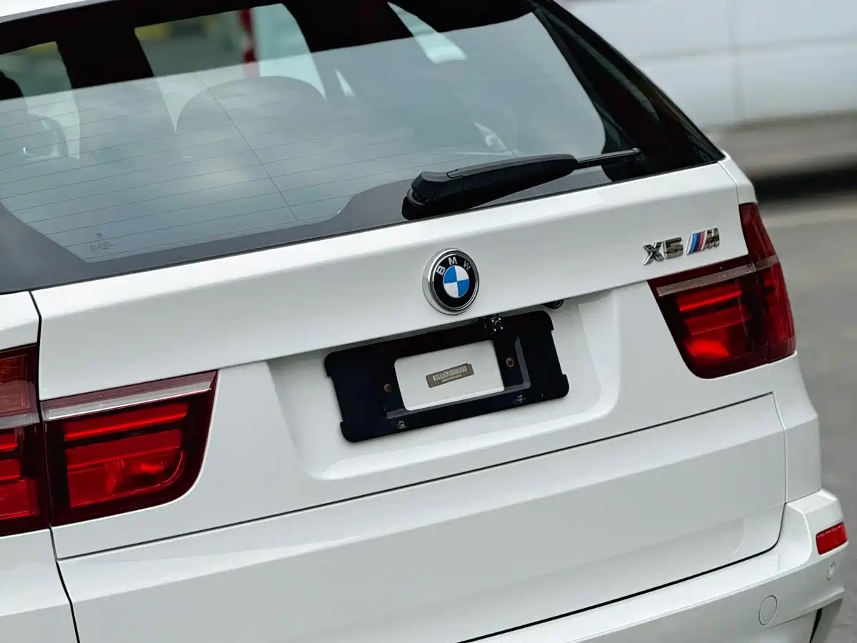 BMW X5 M 2010 X5 M фото 18