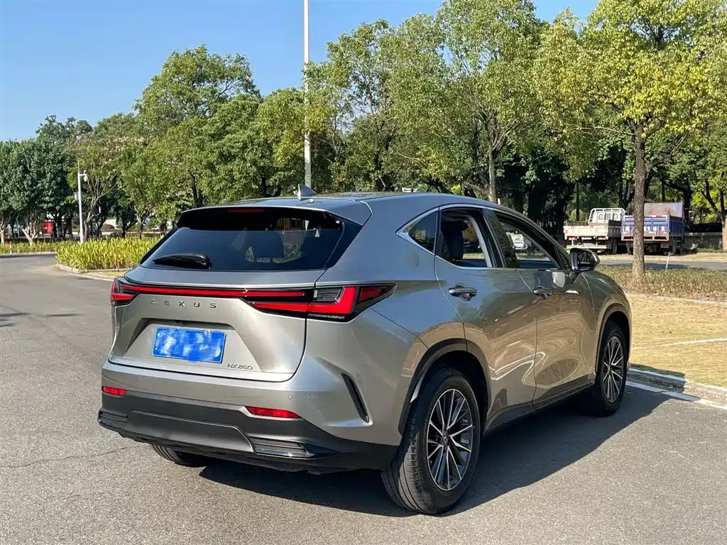 LEXUS NX