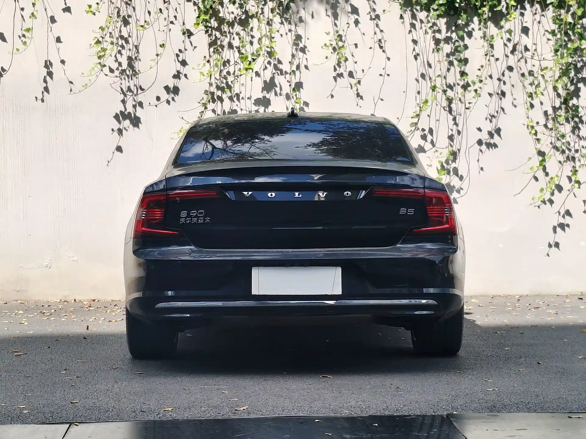 صورة 5 - Volvo S90