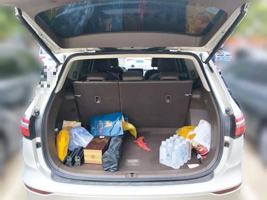 Фото 20 - Volkswagen Viloran