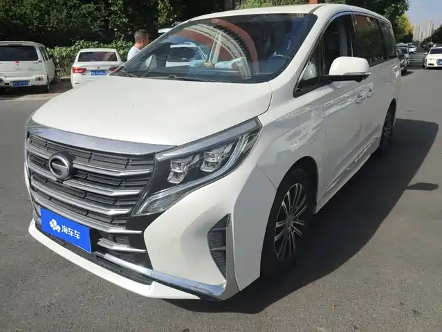 Trumpchi M8 Elegance Series, 390T, Максимум