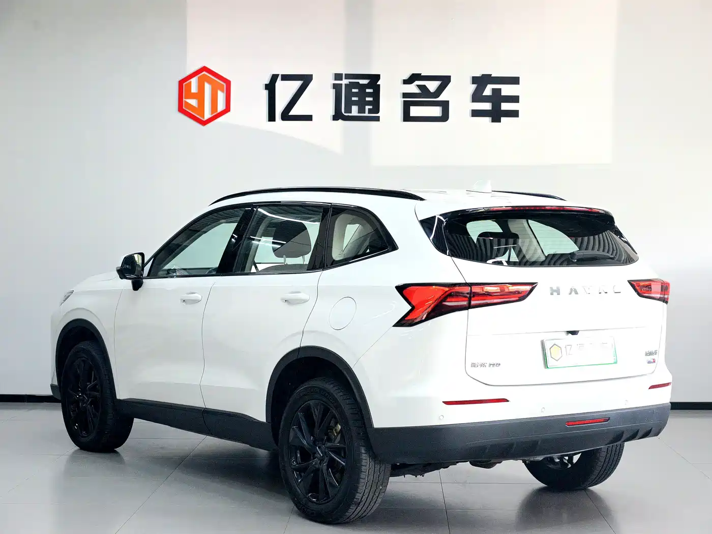 Haval H6 New Energy 2024 2023 DHT-PHEV 110KM Smooth Edition