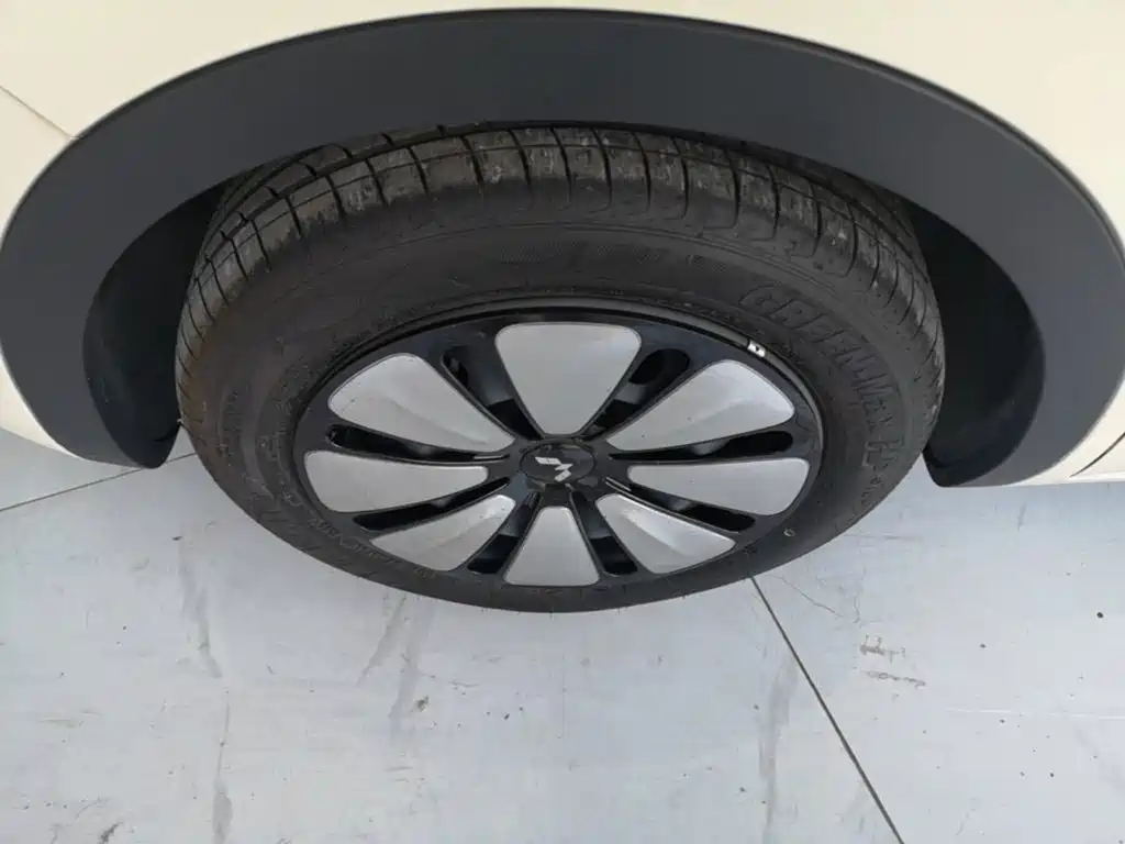 Wuling Motors Wuling Bingo 2026 2025 Model 333km Smart Premium