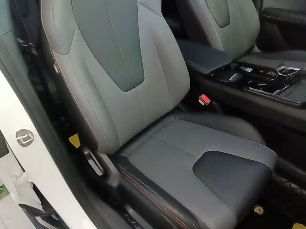 Photo 25 - Geely Atlas