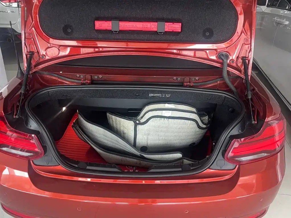 BMW 2 SERIES (IMPORTED)