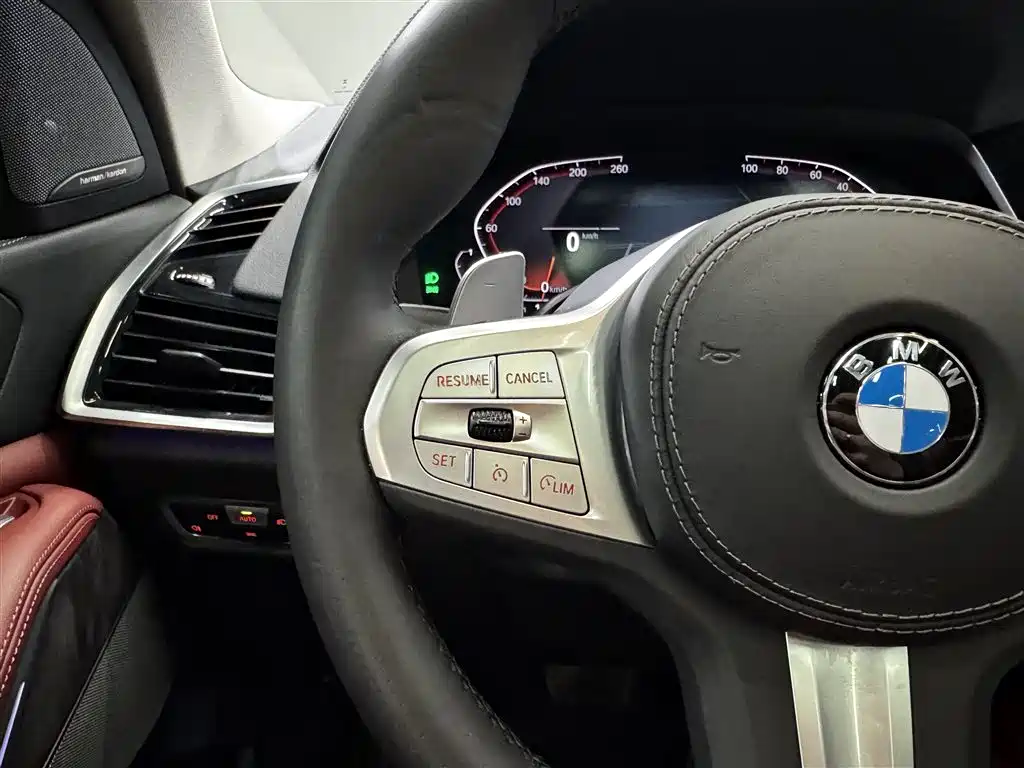 BMW X5 2022 Facelift xDrive 30Li M Sport Package фото 27