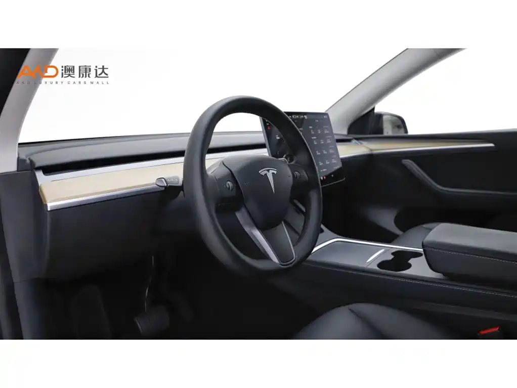 Tesla Model Y 2021 2021 Standard Range Rear-Wheel Drive