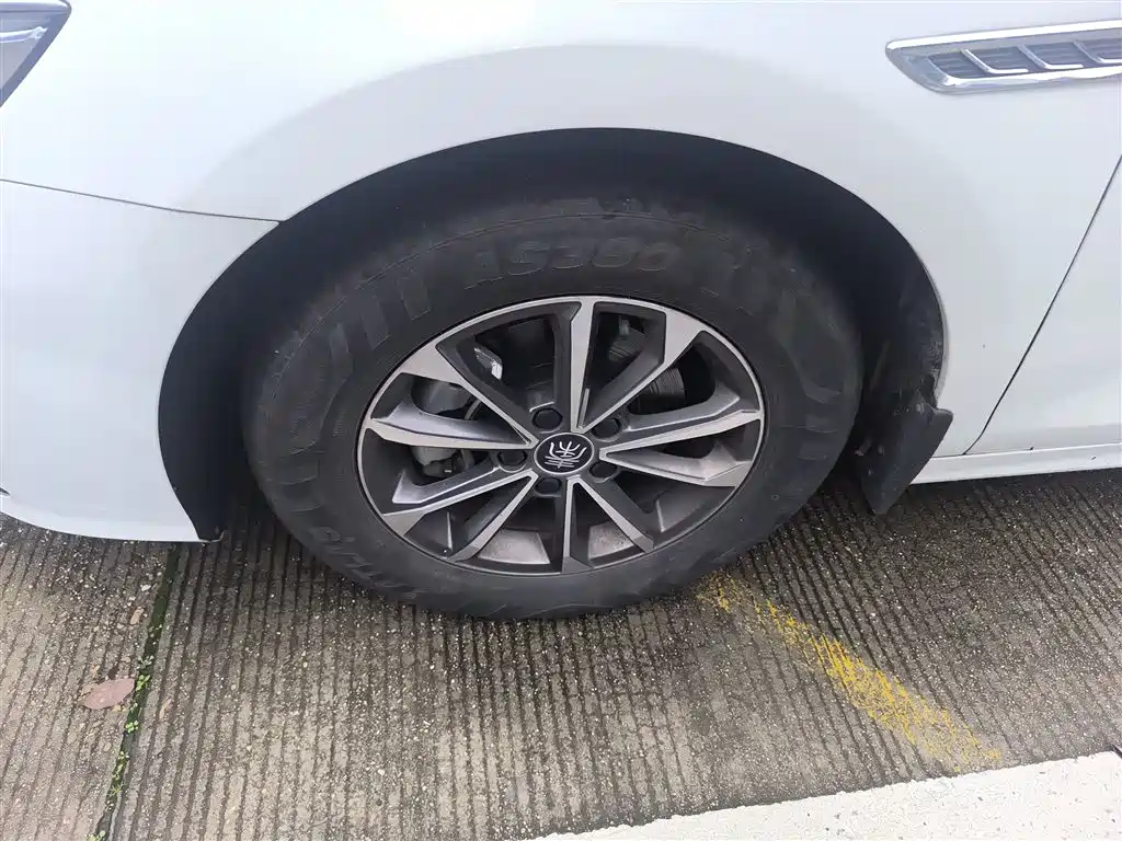 BYD Qin PLUS 2023 Champion Edition DM-i 55KM Leading фото 23