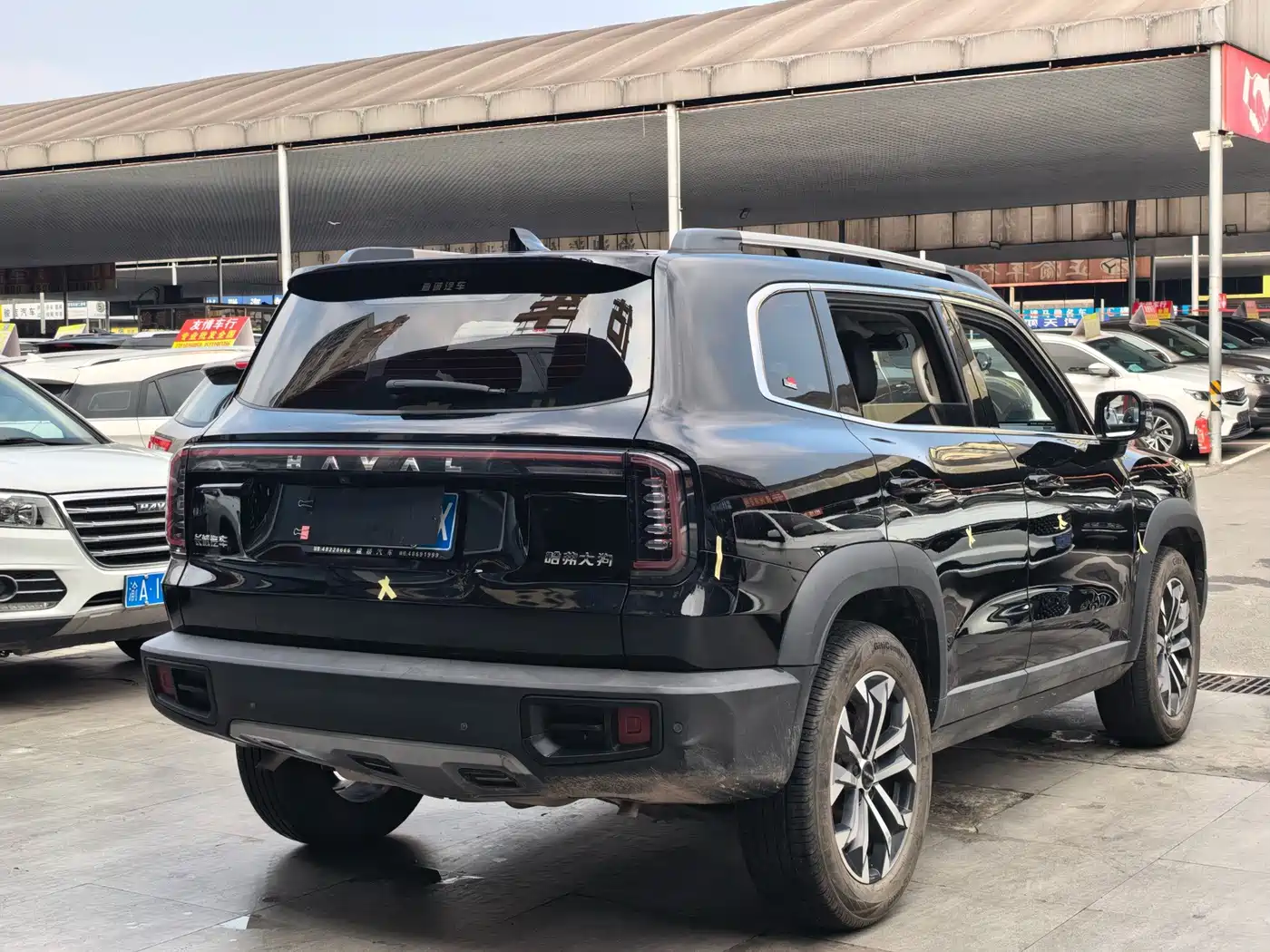 Haval Big Dog 2025 2024 1.5T DCT Border Collie Edition