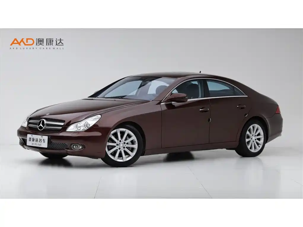 Mercedes-Benz CLS 2009 CLS 300