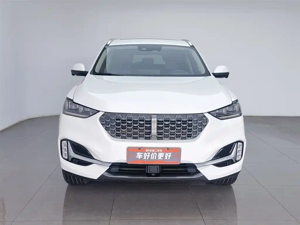 WEI PAI WEI BRAND VV6