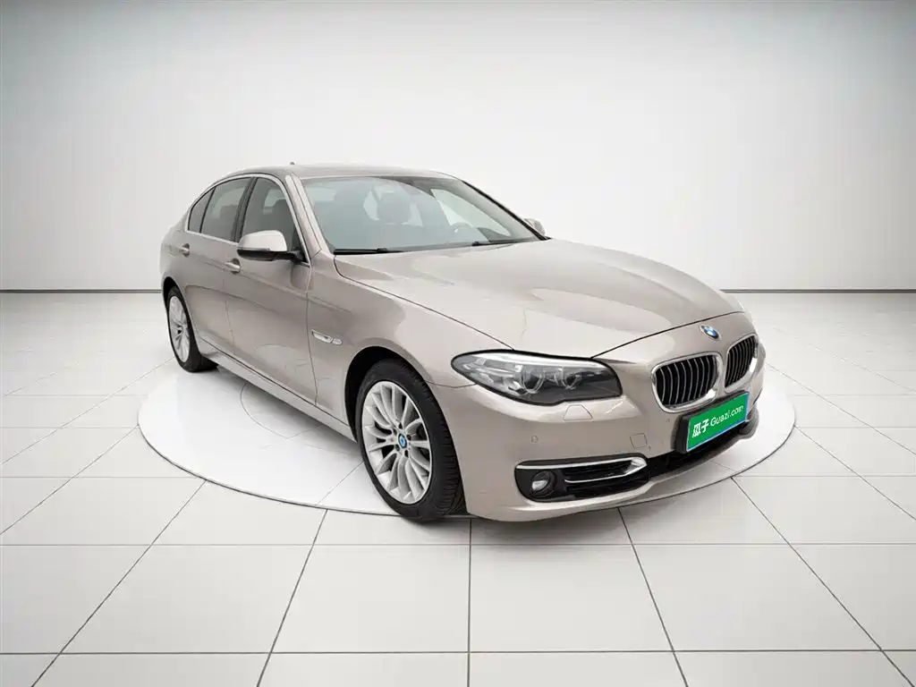 BMW 5 Series 2017 525Li Luxury Design Package фото 4