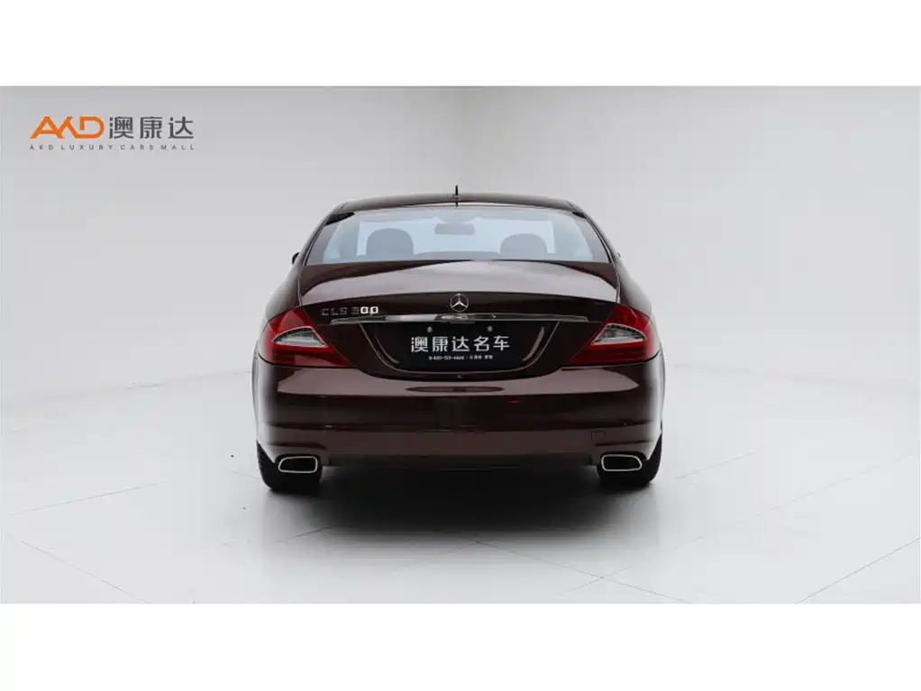 Mercedes-Benz CLS 2009 CLS 300 фото 4