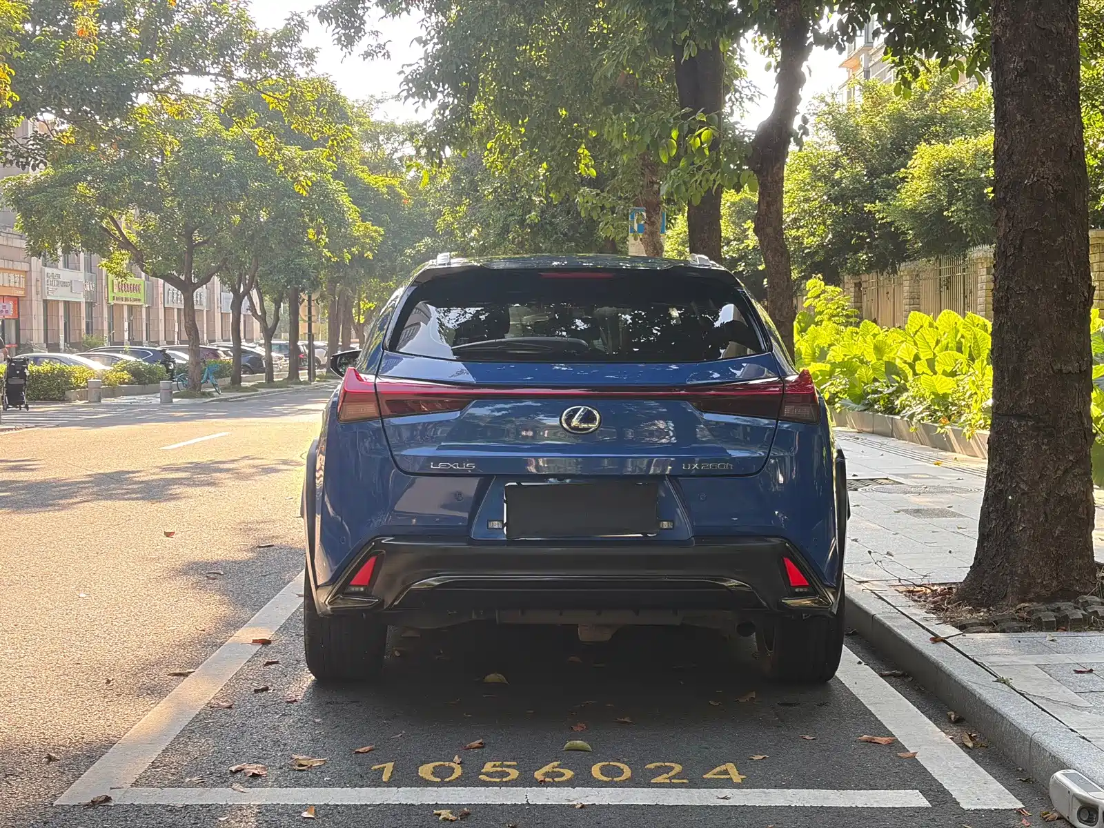صورة 5 - Lexus UX