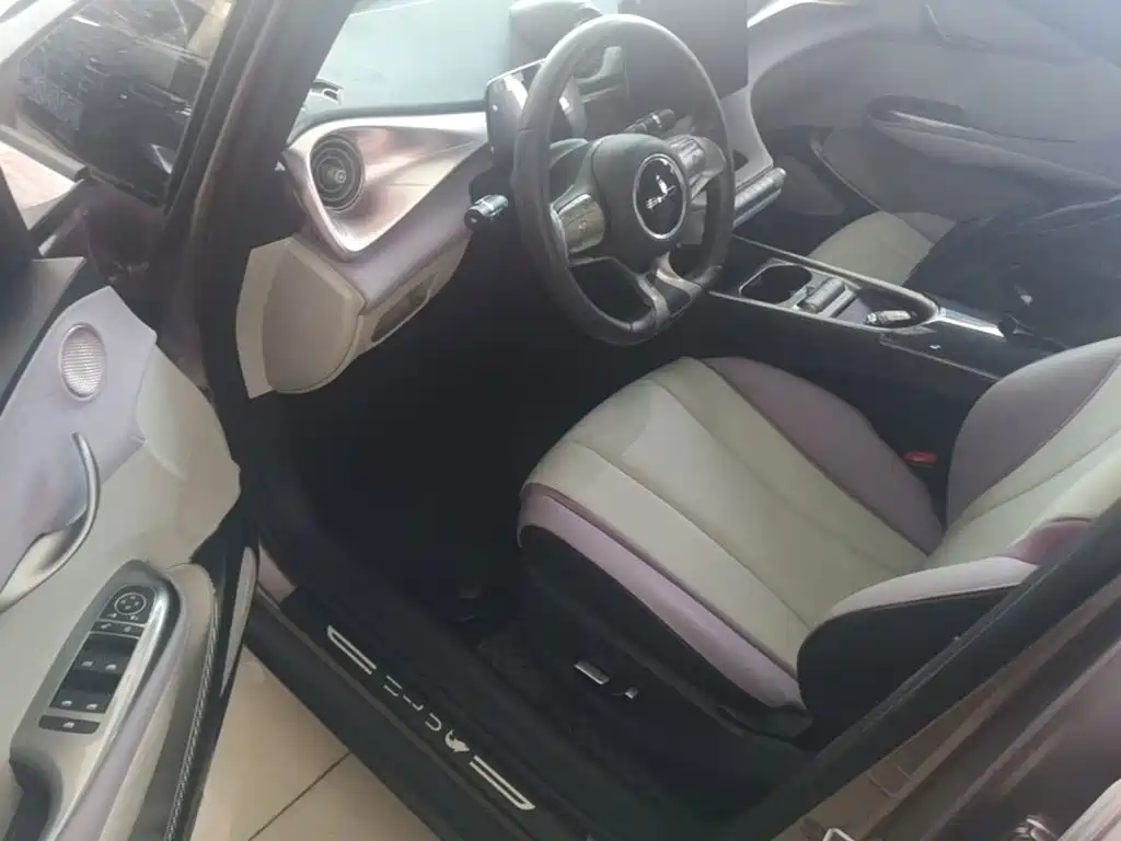 BYD Dolphin 2022 2021 Model 405km Fashion Edition