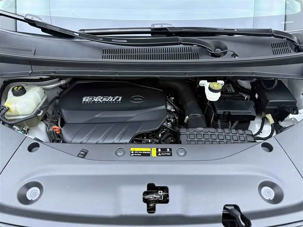 GAC Trumpchi Trumpchi M8 2024 Leadershow Series 390T Premium Edition фото 10