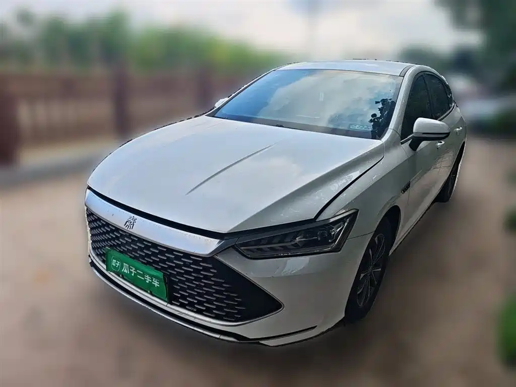 BYD Qin PLUS 2023 Champion Edition DM-i 55KM Leading