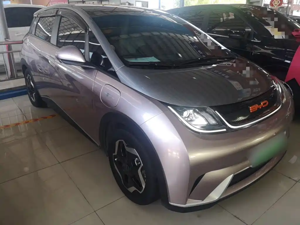 BYD Dolphin 2022 2021 Model 405km Fashion Edition