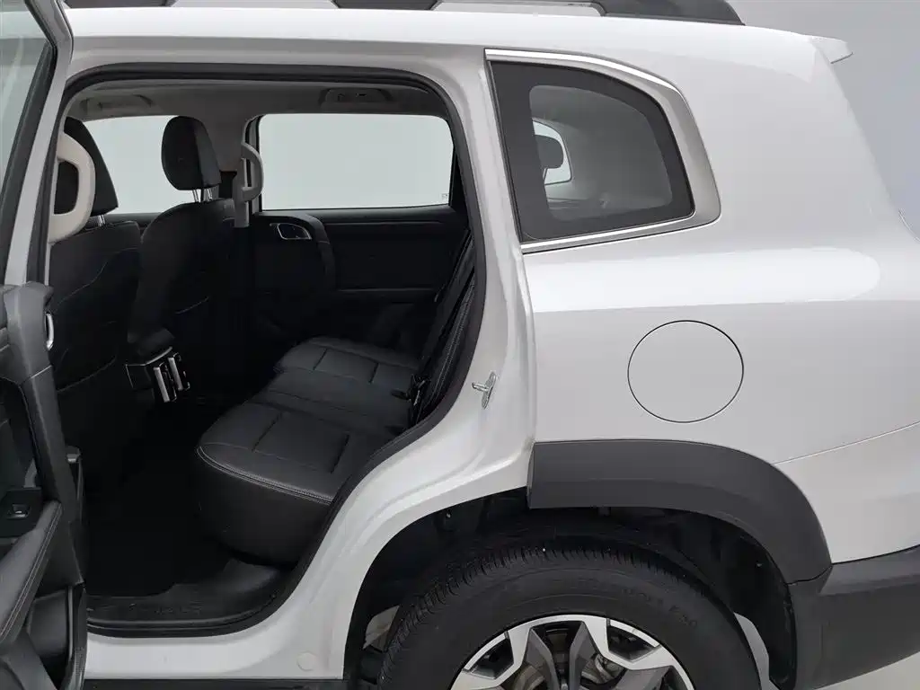 Haval Big Dog 2024 2.0T DCT Chinese Rural Dog Edition фото 15