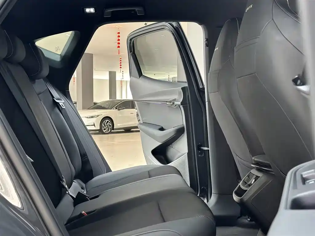 VOLKSWAGEN WITH THE CROWD 06