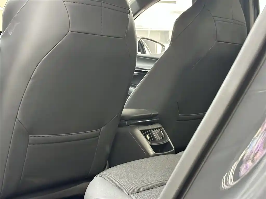 VOLKSWAGEN WITH THE CROWD 06