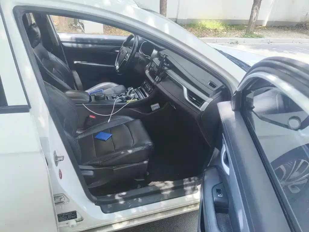 Geely Emgrand New Energy 2018 2018 EV450 Progressive