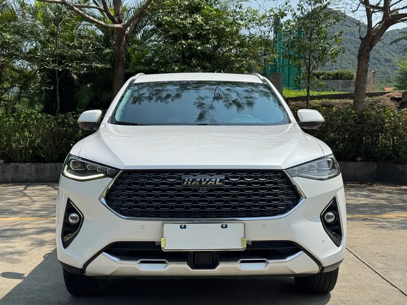 HAVAL F7