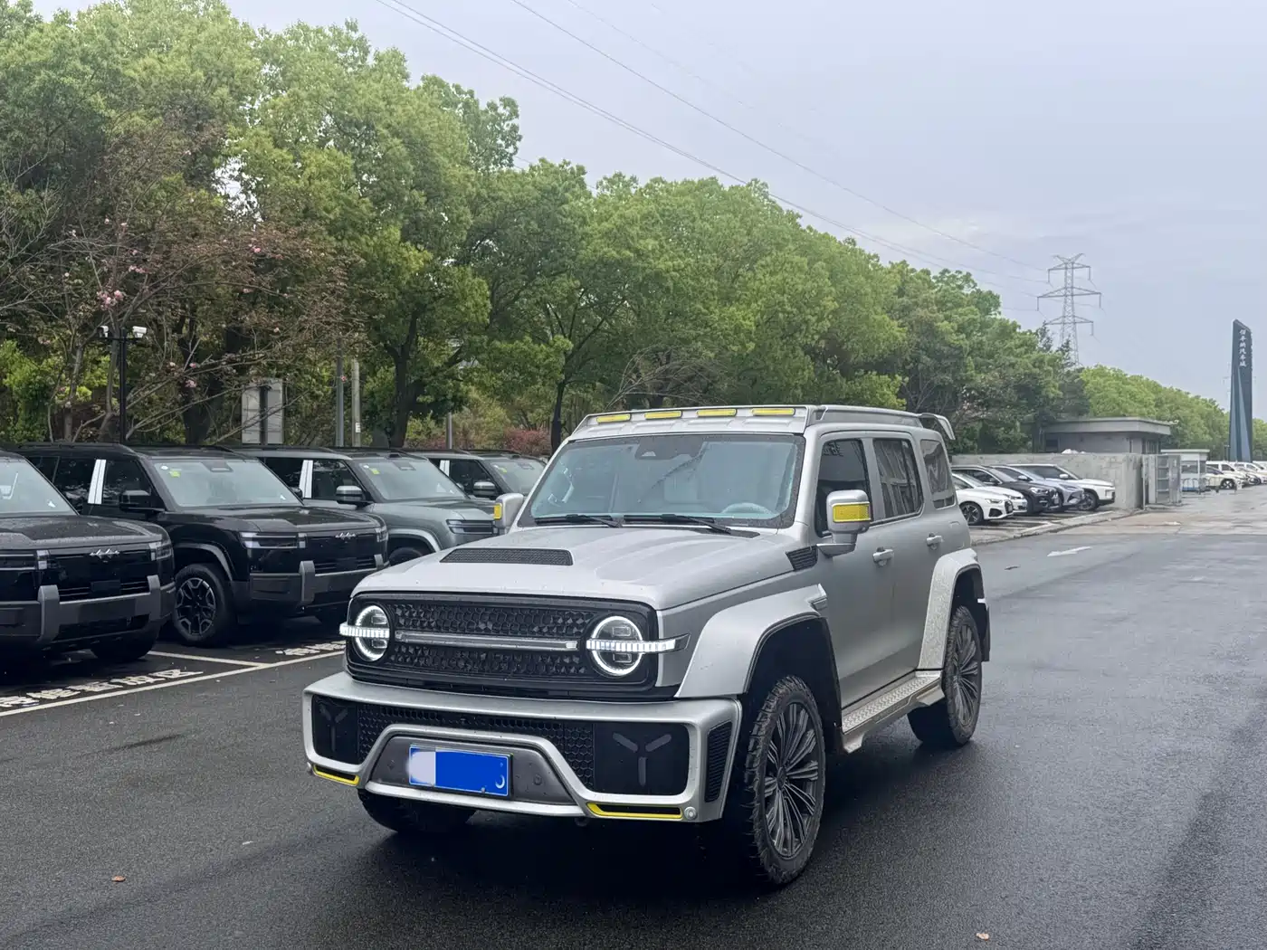 TANK CO CREATION TANK 300