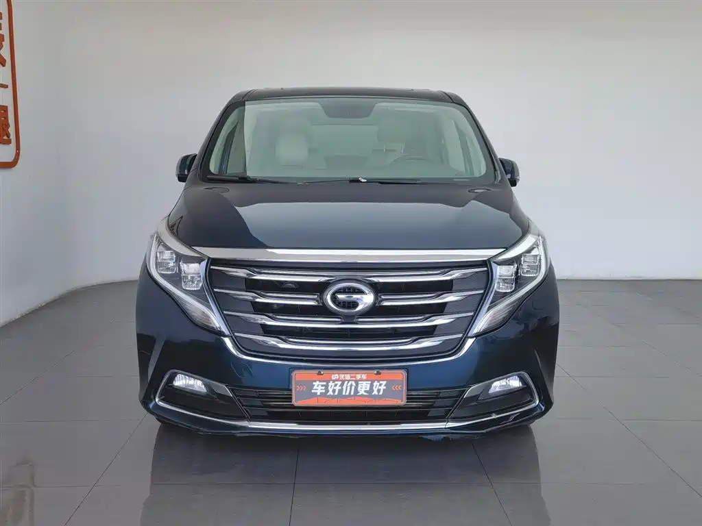 GAC Trumpchi Trumpchi M8 2018 320T Premium Edition фото 3